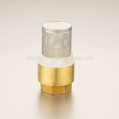 light weight simple female threaded vertical check valve with strainers one way check valves to prevent back flow